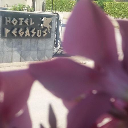 Pegasus Hotel Hanioti Bagian luar foto